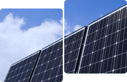 ブルーコンシャスの市場性